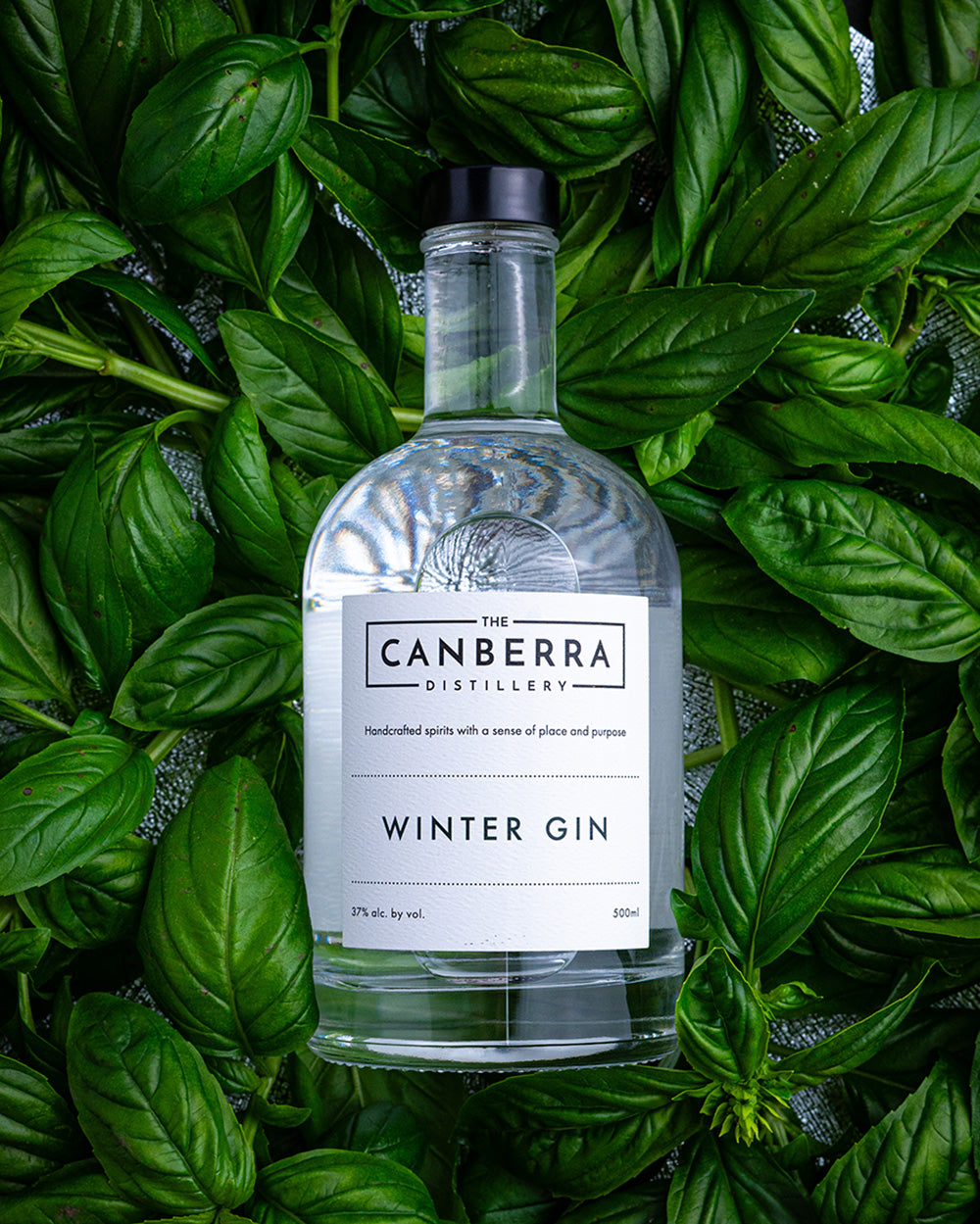 WINTER GIN, 500ML